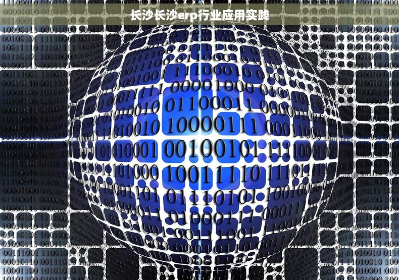 长沙长沙erp行业应用实践