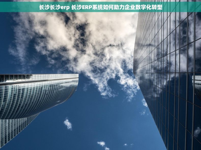 长沙长沙erp 长沙ERP系统如何助力企业数字化转型