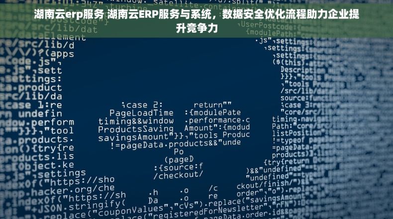 湖南云erp服务 湖南云ERP服务与系统，数据安全优化流程助力企业提升竞争力