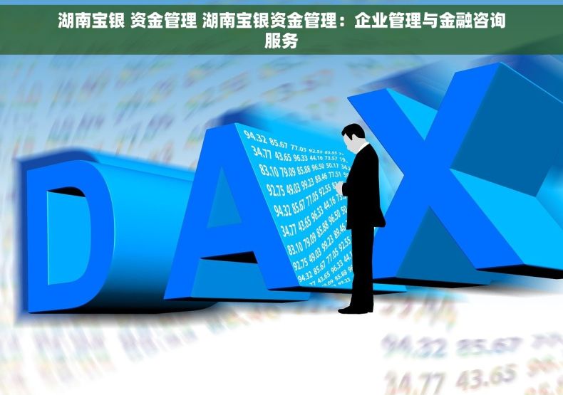 湖南宝银 资金管理 湖南宝银资金管理：企业管理与金融咨询服务