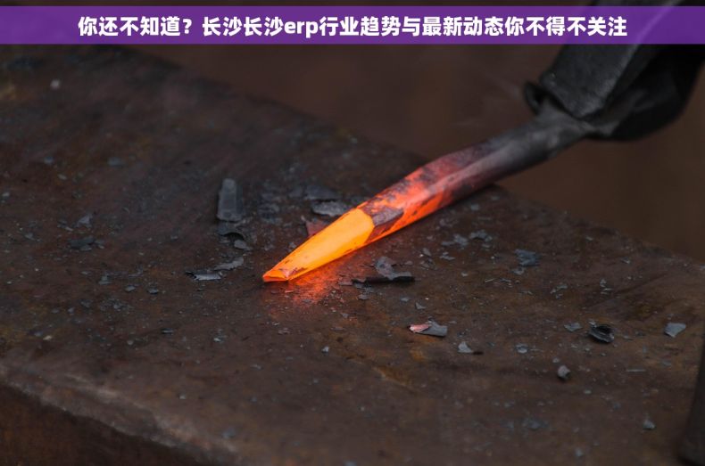 你还不知道？长沙长沙erp行业趋势与最新动态你不得不关注