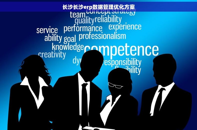 长沙长沙erp数据管理优化方案