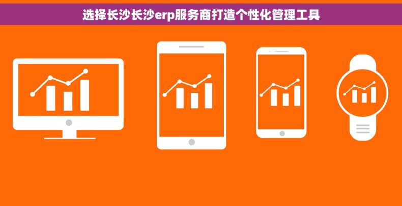 选择长沙长沙erp服务商打造个性化管理工具