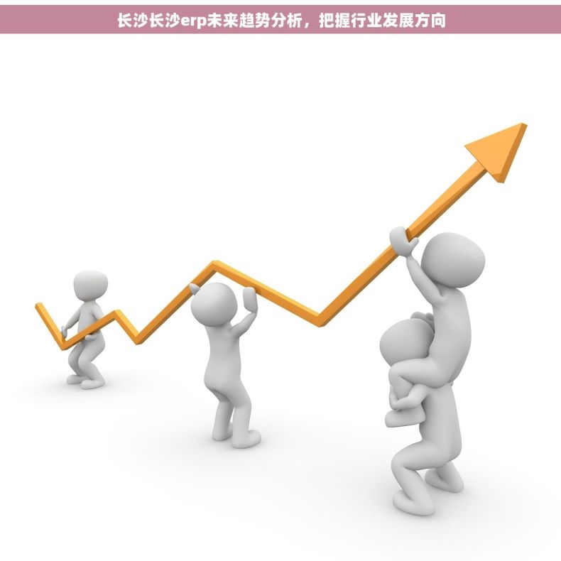 长沙长沙erp未来趋势分析，把握行业发展方向