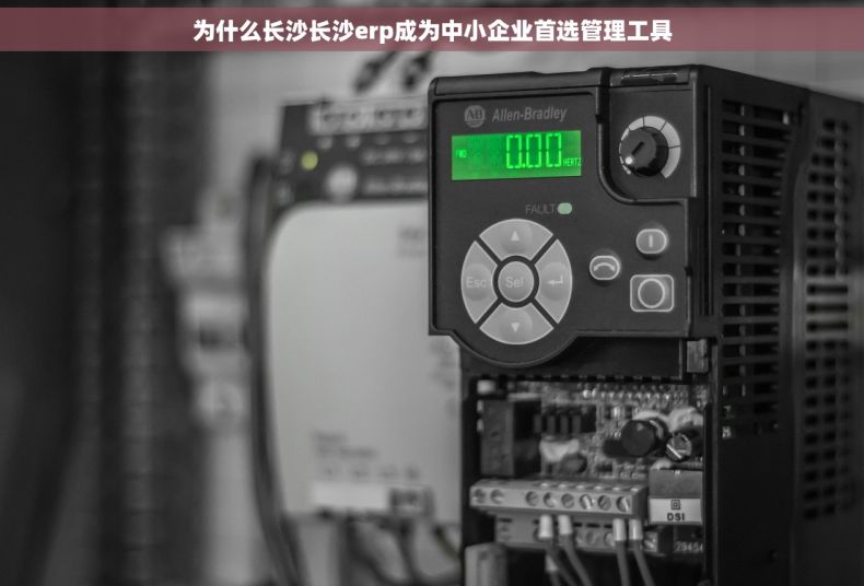 为什么长沙长沙erp成为中小企业首选管理工具