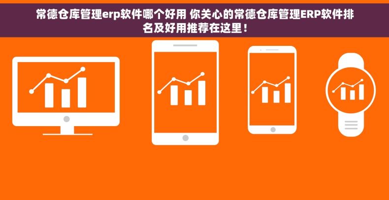 常德仓库管理erp软件哪个好用 你关心的常德仓库管理ERP软件排名及好用推荐在这里！
