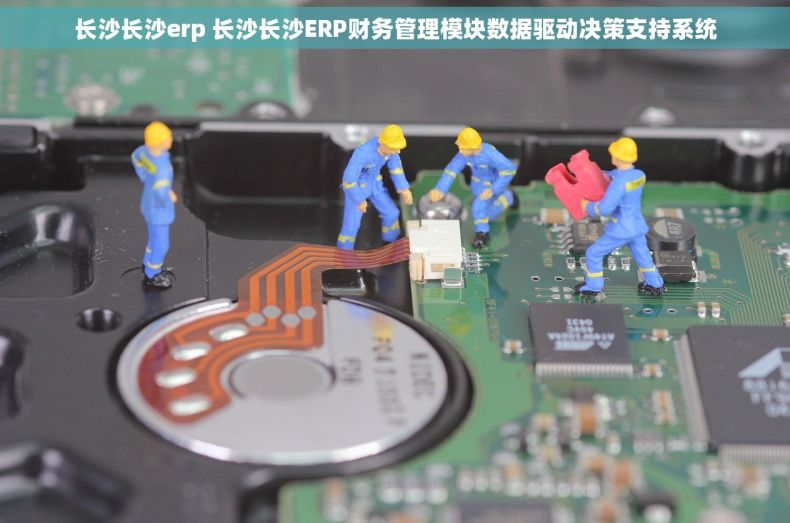 长沙长沙erp 长沙长沙ERP财务管理模块数据驱动决策支持系统