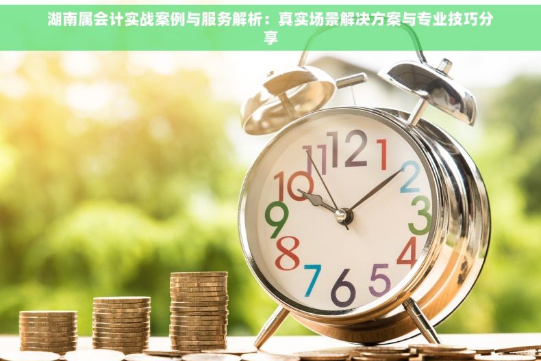 湖南属会计实战案例与服务解析：真实场景解决方案与专业技巧分享