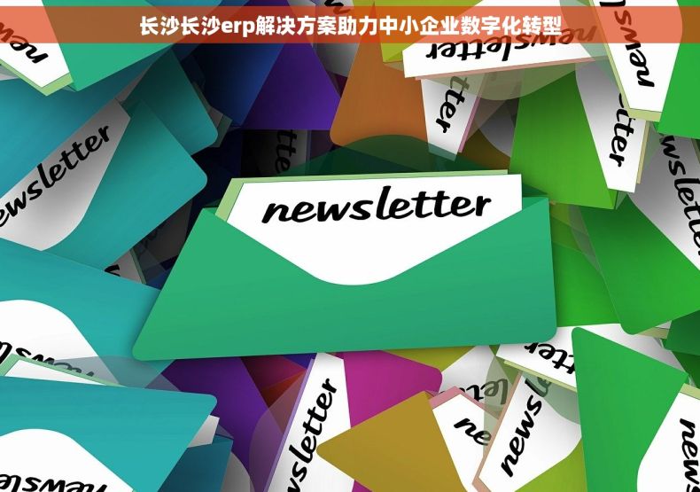 长沙长沙erp解决方案助力中小企业数字化转型