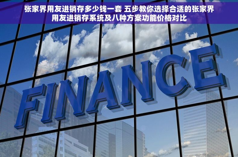 张家界用友进销存多少钱一套 五步教你选择合适的张家界用友进销存系统及八种方案功能价格对比