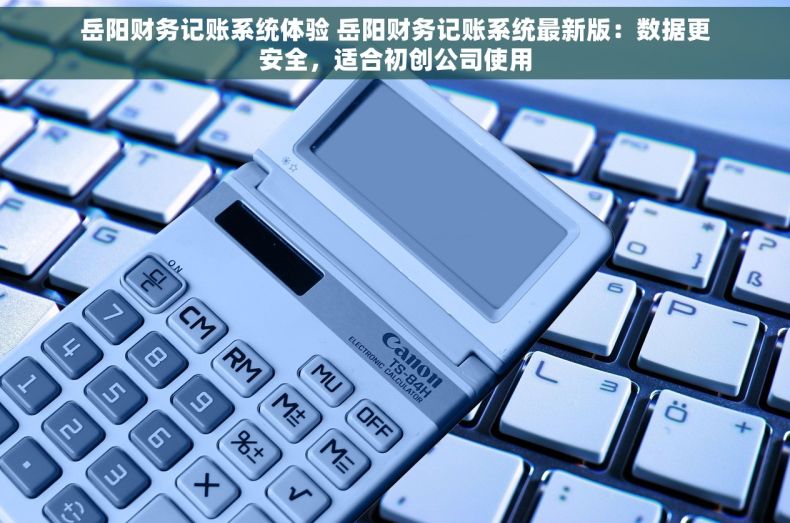 岳阳财务记账系统体验 岳阳财务记账系统最新版：数据更安全，适合初创公司使用