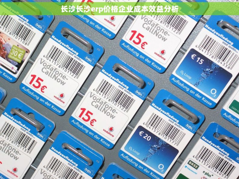 长沙长沙erp价格企业成本效益分析