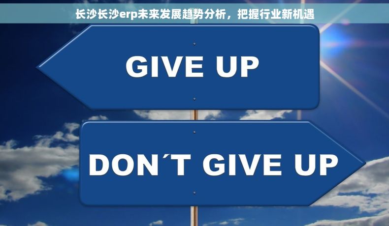 长沙长沙erp未来发展趋势分析，把握行业新机遇