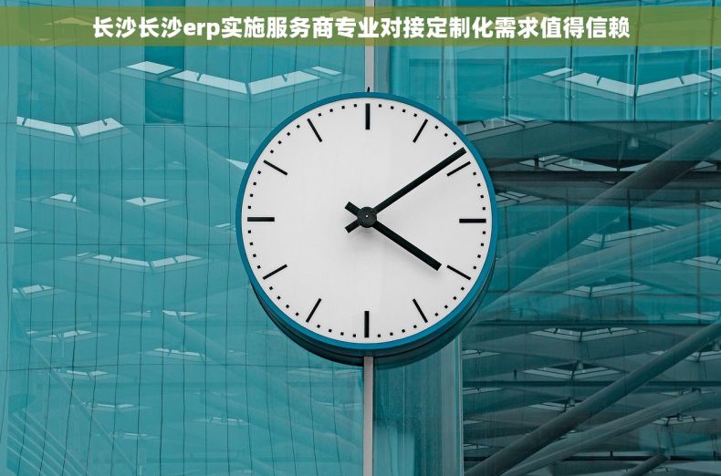 长沙长沙erp实施服务商专业对接定制化需求值得信赖