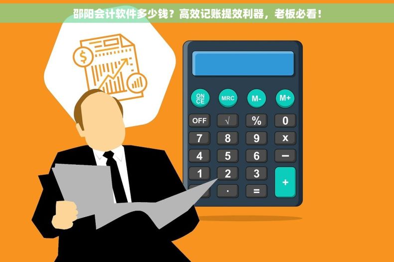 邵阳会计软件多少钱？高效记账提效利器，老板必看！
