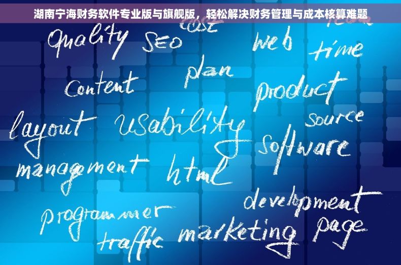 湖南宁海财务软件专业版与旗舰版，轻松解决财务管理与成本核算难题