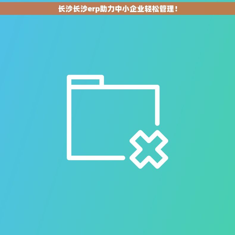 长沙长沙erp助力中小企业轻松管理！