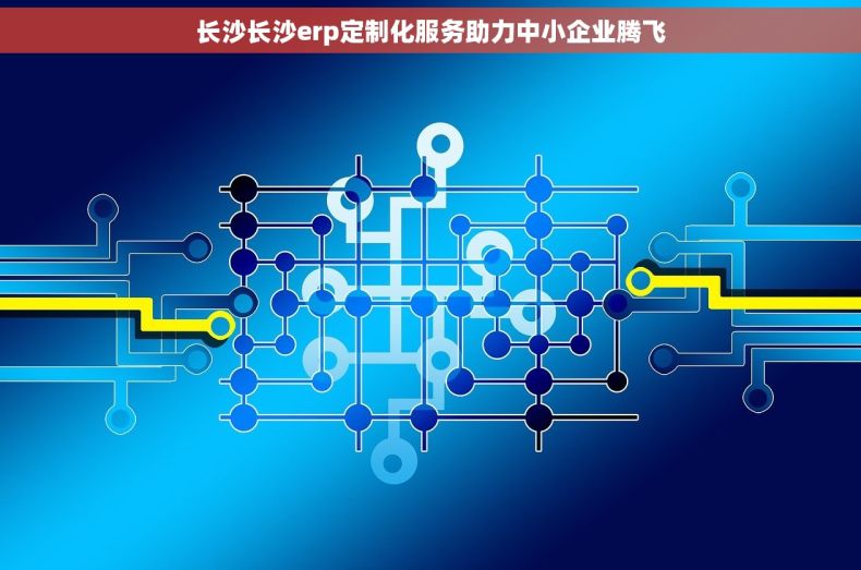 长沙长沙erp定制化服务助力中小企业腾飞