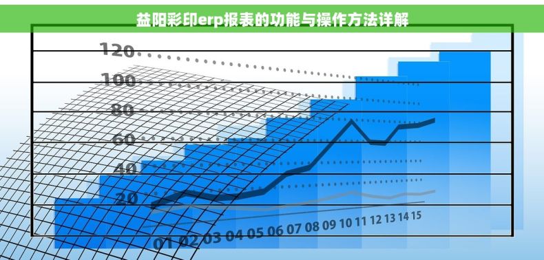 益阳彩印erp报表的功能与操作方法详解