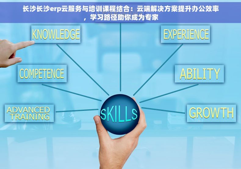 长沙长沙erp云服务与培训课程结合：云端解决方案提升办公效率，学习路径助你成为专家