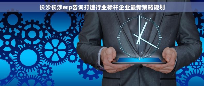 长沙长沙erp咨询打造行业标杆企业最新策略规划