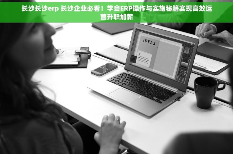长沙长沙erp 长沙企业必看！学会ERP操作与实施秘籍实现高效运营升职加薪