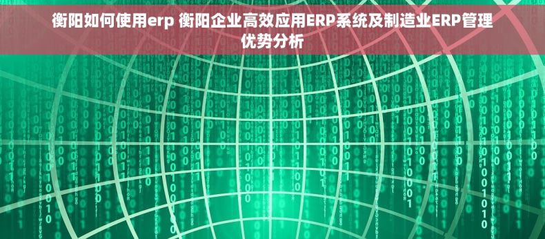 衡阳如何使用erp 衡阳企业高效应用ERP系统及制造业ERP管理优势分析