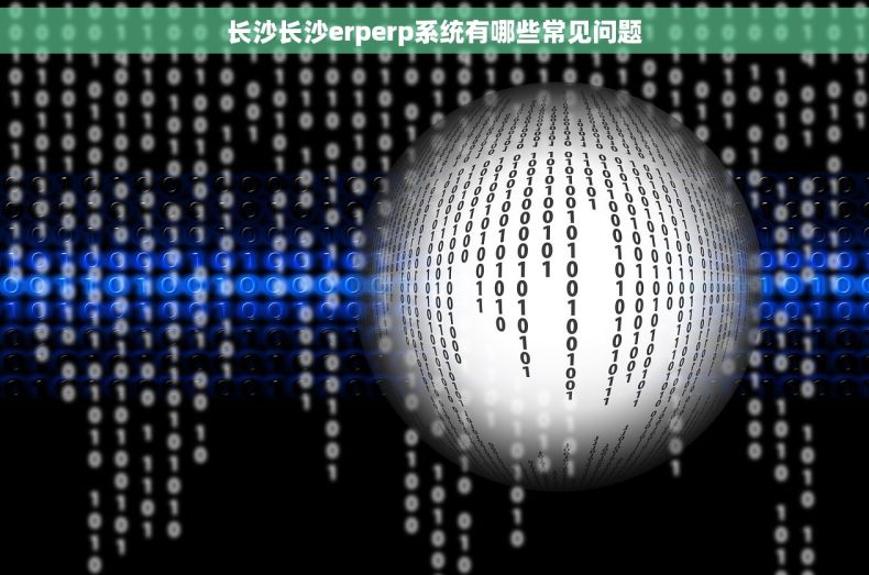 长沙长沙erperp系统有哪些常见问题