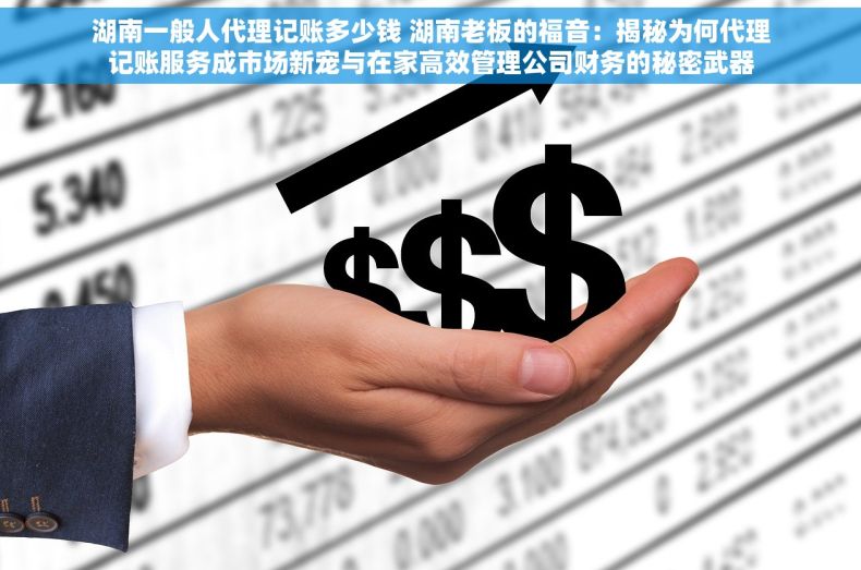 湖南一般人代理记账多少钱 湖南老板的福音：揭秘为何代理记账服务成市场新宠与在家高效管理公司财务的秘密武器