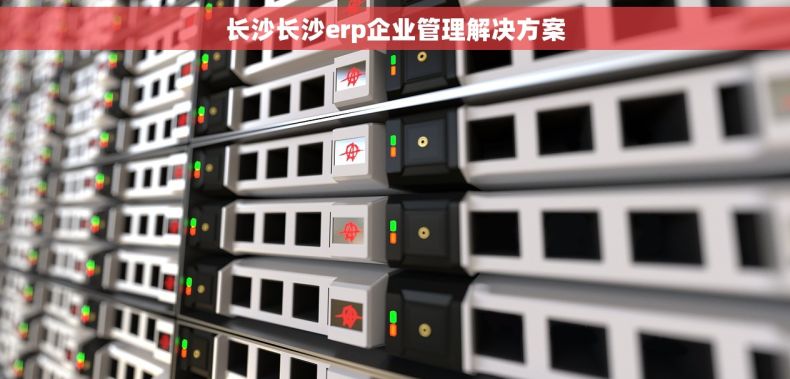 长沙长沙erp企业管理解决方案