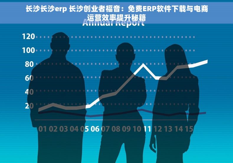 长沙长沙erp 长沙创业者福音：免费ERP软件下载与电商运营效率提升秘籍