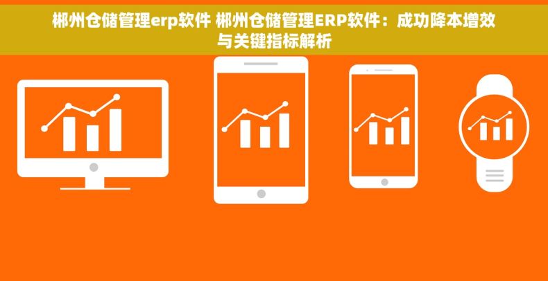 郴州仓储管理erp软件 郴州仓储管理ERP软件：成功降本增效与关键指标解析