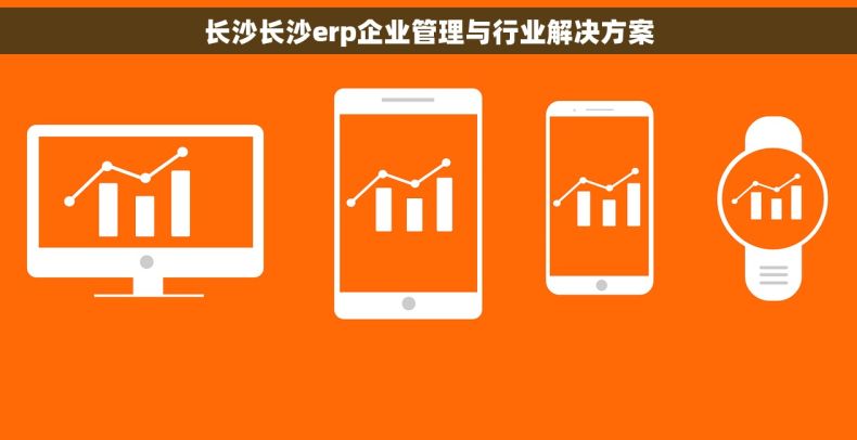 长沙长沙erp企业管理与行业解决方案