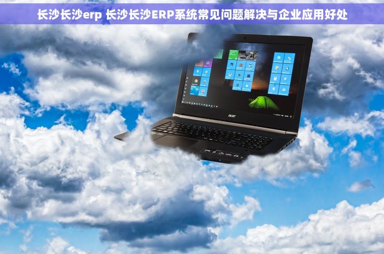 长沙长沙erp 长沙长沙ERP系统常见问题解决与企业应用好处