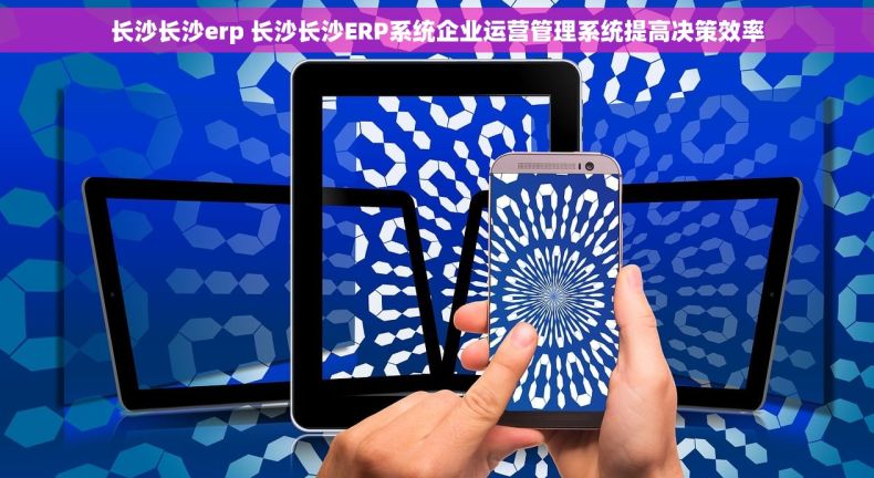 长沙长沙erp 长沙长沙ERP系统企业运营管理系统提高决策效率