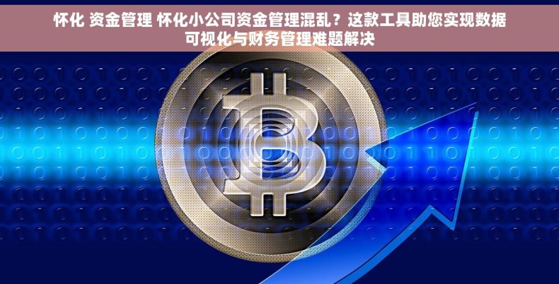 怀化 资金管理 怀化小公司资金管理混乱？这款工具助您实现数据可视化与财务管理难题解决