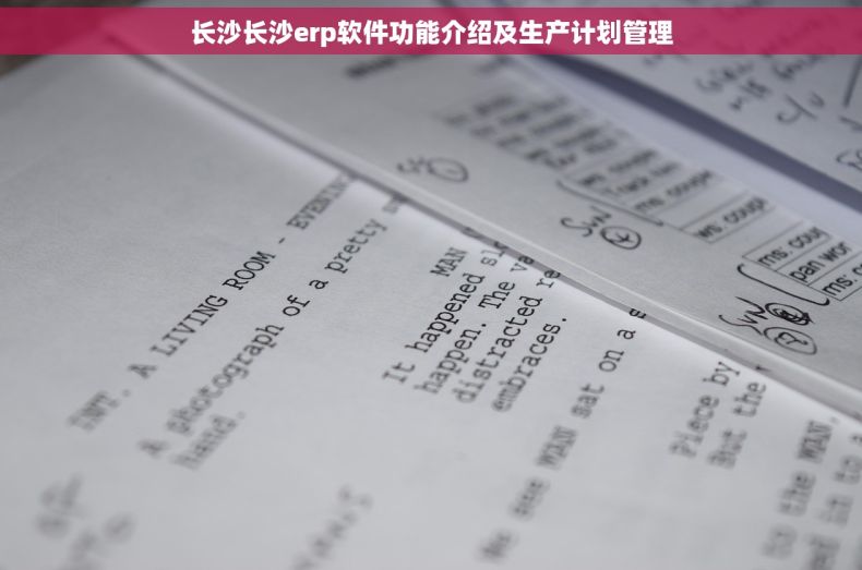长沙长沙erp软件功能介绍及生产计划管理
