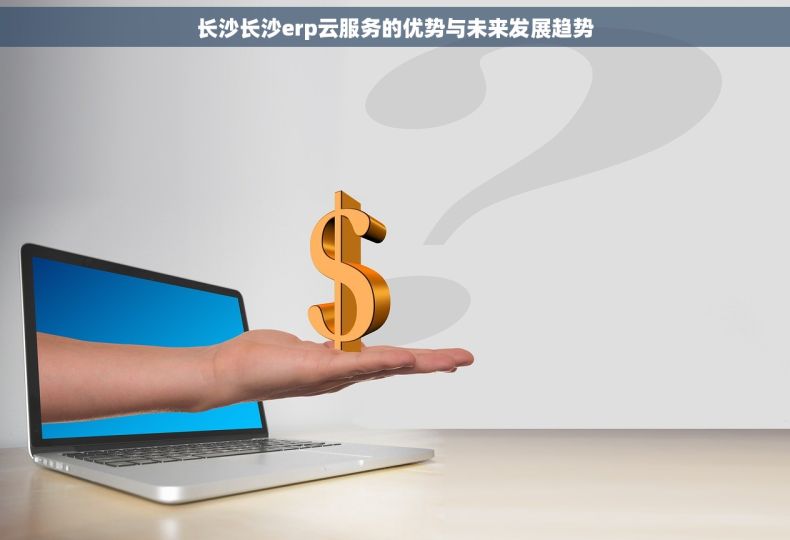长沙长沙erp云服务的优势与未来发展趋势