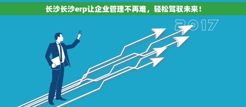 长沙长沙erp让企业管理不再难，轻松驾驭未来！