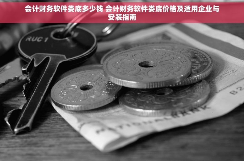 会计财务软件娄底多少钱 会计财务软件娄底价格及适用企业与安装指南