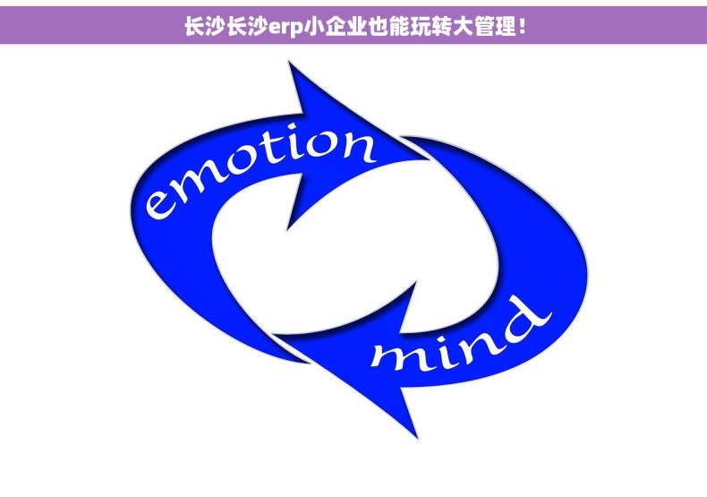 长沙长沙erp小企业也能玩转大管理！