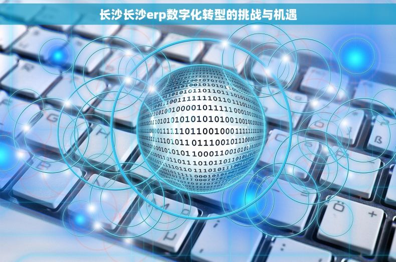 长沙长沙erp数字化转型的挑战与机遇