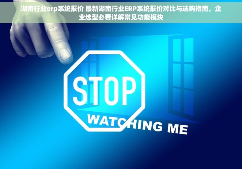湖南行业erp系统报价 最新湖南行业ERP系统报价对比与选购指南，企业选型必看详解常见功能模块
