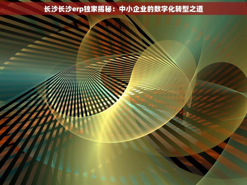 长沙长沙erp独家揭秘：中小企业的数字化转型之道