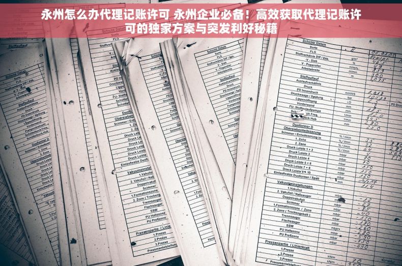 永州怎么办代理记账许可 永州企业必备！高效获取代理记账许可的独家方案与突发利好秘籍