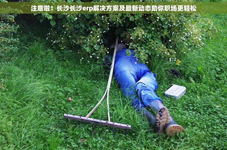 注意啦！长沙长沙erp解决方案及最新动态助你职场更轻松