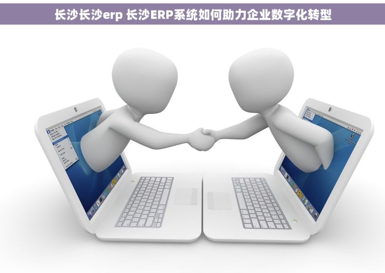 长沙长沙erp 长沙ERP系统如何助力企业数字化转型