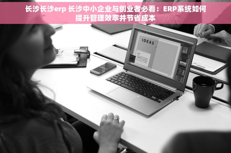 长沙长沙erp 长沙中小企业与创业者必看：ERP系统如何提升管理效率并节省成本