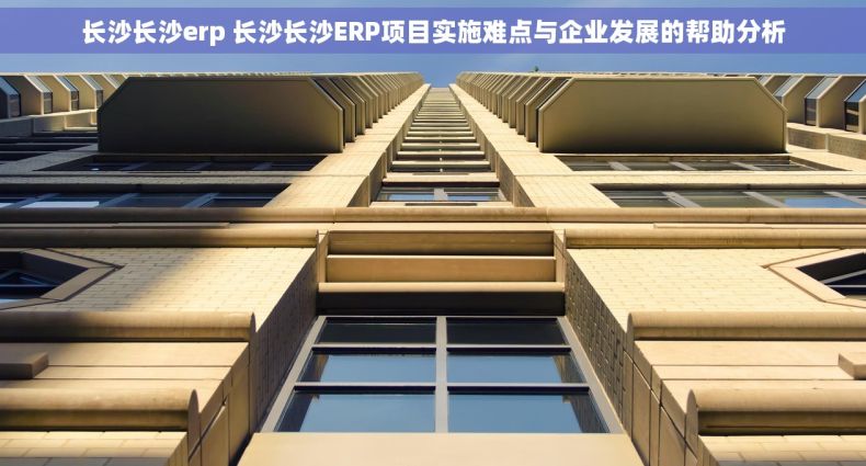 长沙长沙erp 长沙长沙ERP项目实施难点与企业发展的帮助分析
