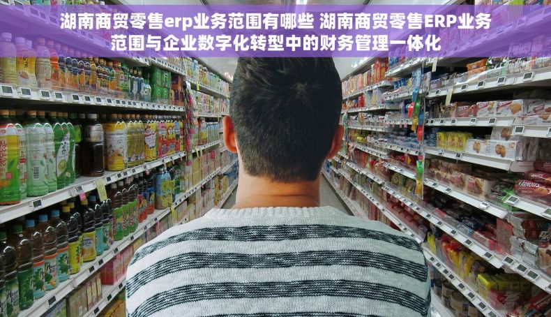 湖南商贸零售erp业务范围有哪些 湖南商贸零售ERP业务范围与企业数字化转型中的财务管理一体化